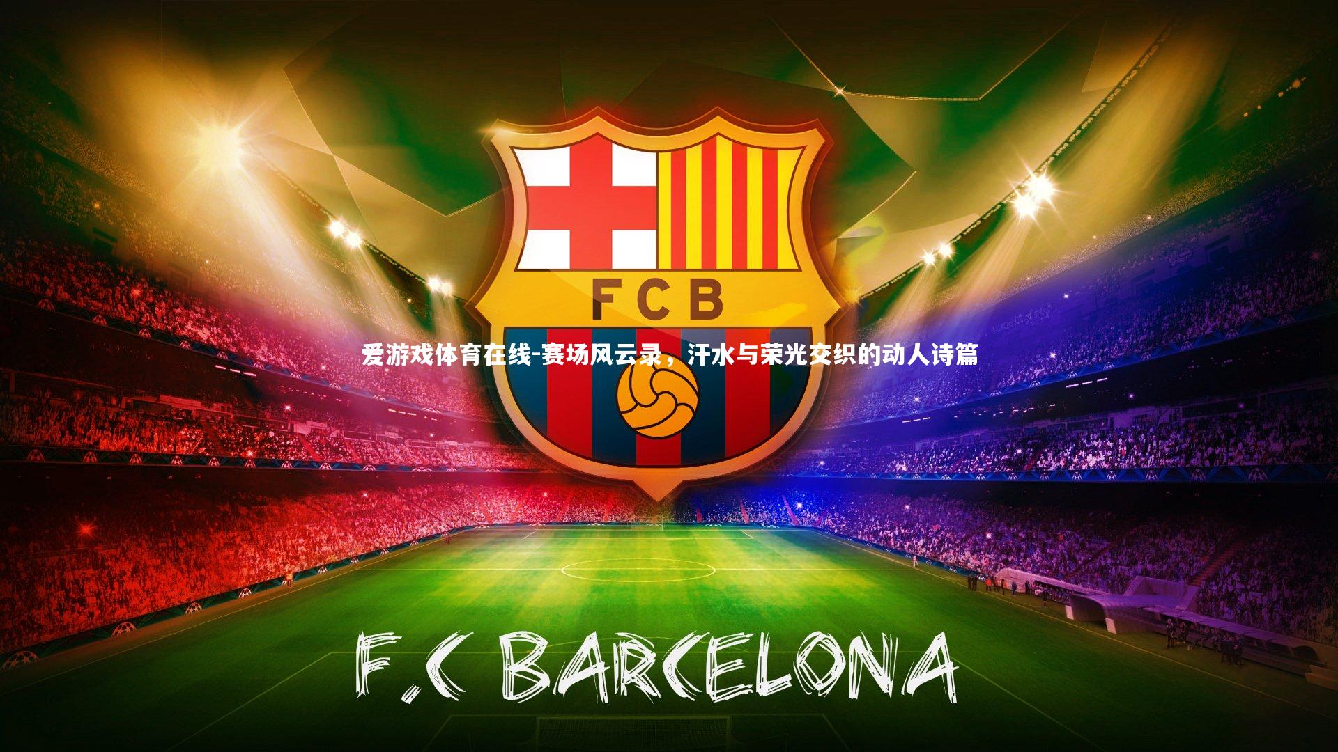 赛场风云录，汗水与荣光交织的动人诗篇
