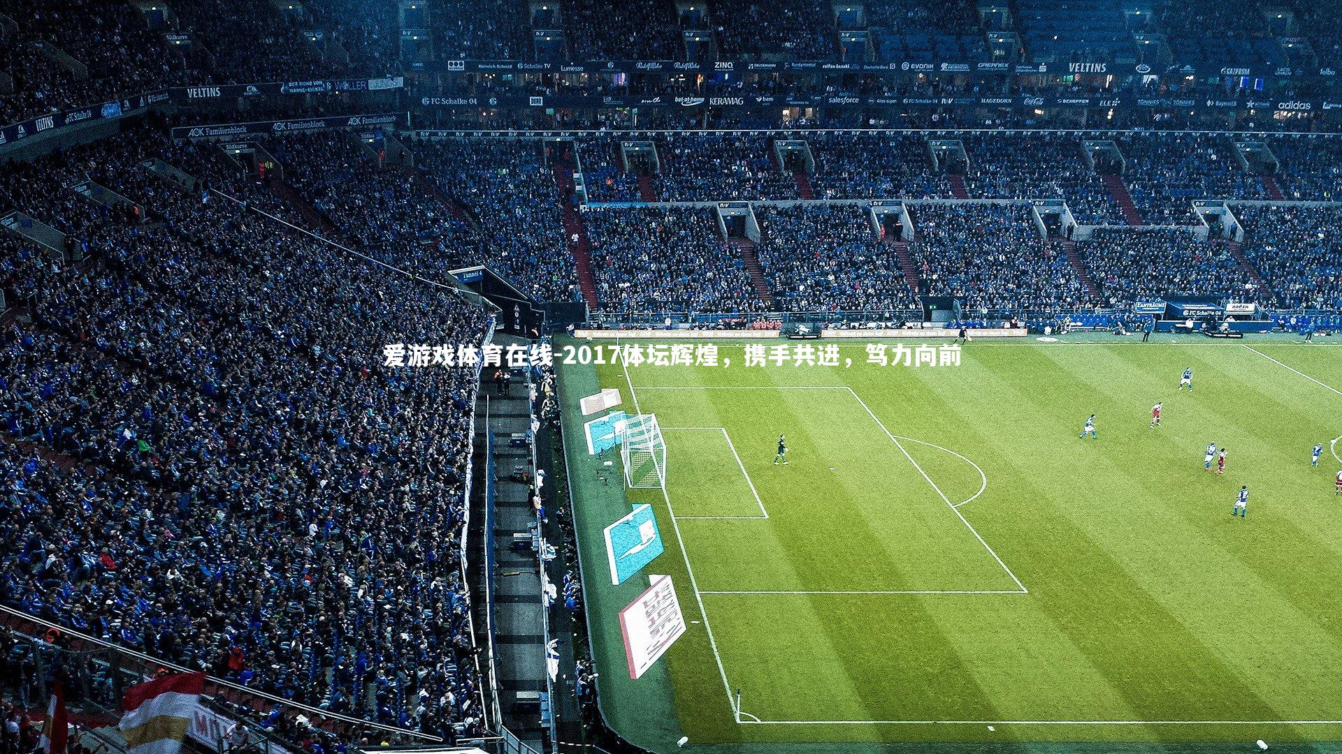 2017体坛辉煌，携手共进，笃力向前